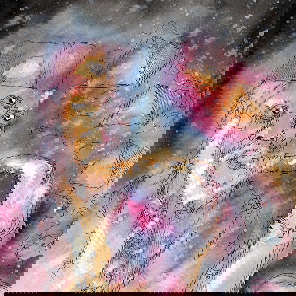 Anthony "Crystalline Roses" Pasquarosa With John " - My Pharaoh, My King (Vinyl) - Joco Records