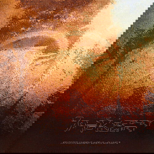 Aphex Twin - Selected Ambient Works Volume II (Oversize Item Split, Sticker, Expanded Version, Poster) (4 LP) - Joco Records