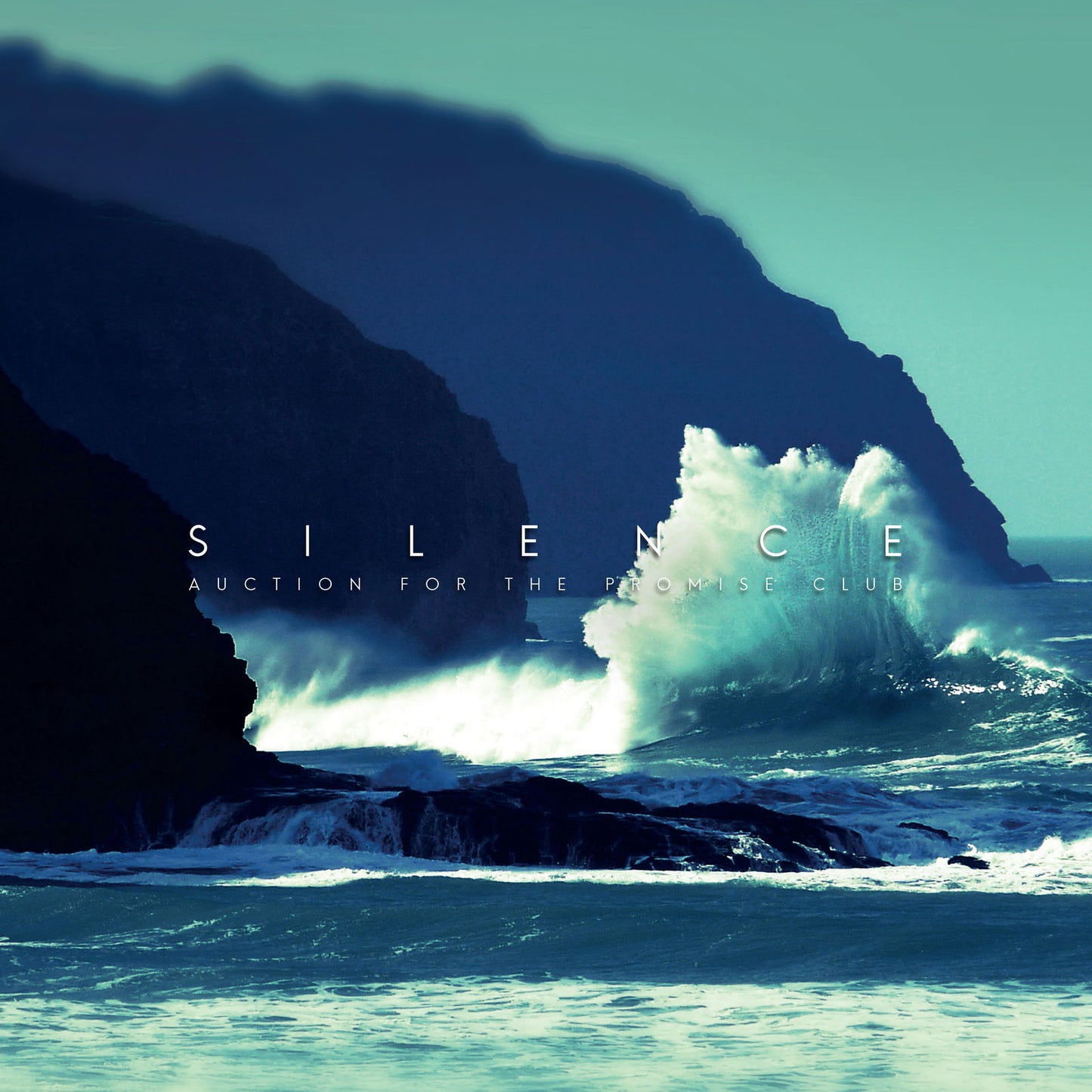 Auction For The Promise Club - Silence (Vinyl) - Joco Records