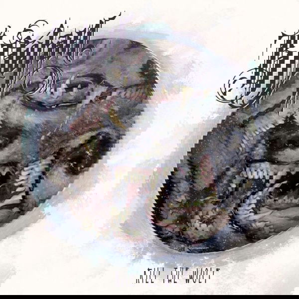 B. Dolan - Kill The Wolf (Vinyl) - Joco Records