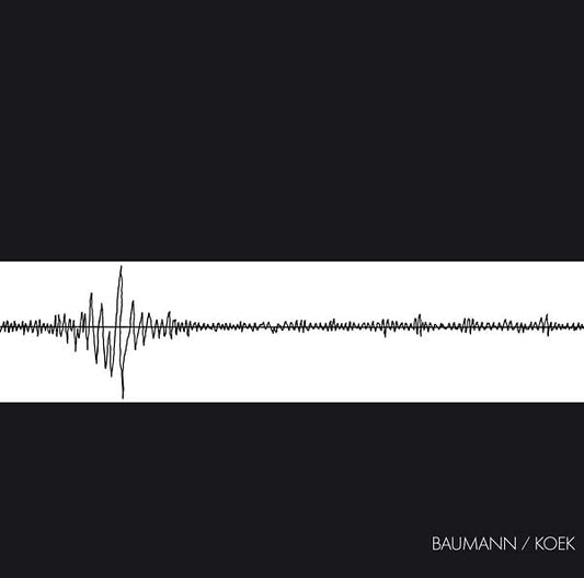 Baumann/Koek - Baumann/Koek (Vinyl) - Joco Records