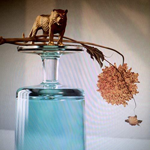 Beirut - Gallipoli (Indie Exclusive) (LP) - Joco Records