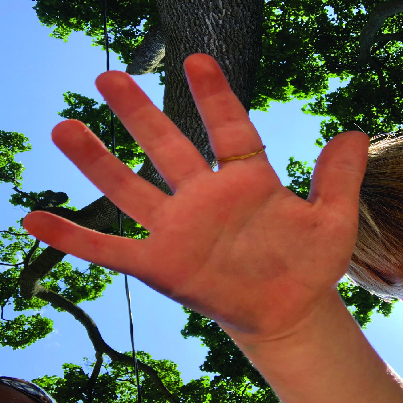 Bernice - Bonjourno My Friends (Vinyl) - Joco Records