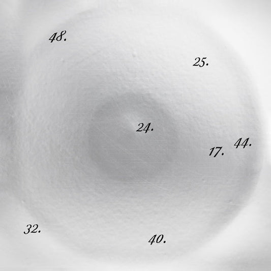 Big'N - Discipline Through Sound 25 (Vinyl) - Joco Records