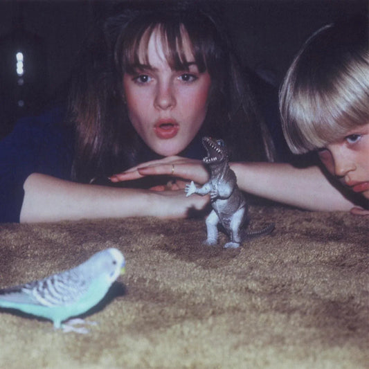 Big Thief - Masterpiece (Eco Vinyl) - Joco Records