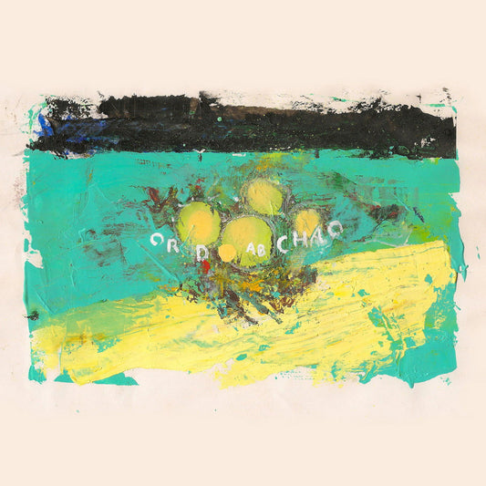 Big Ups - Eighteen Hours Of Static (Tin Vinyl) - Joco Records