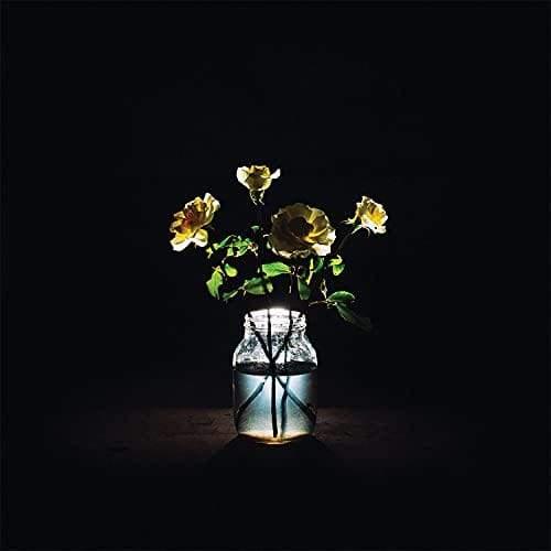 Billy Strings - Renewal (2 LP) - Joco Records