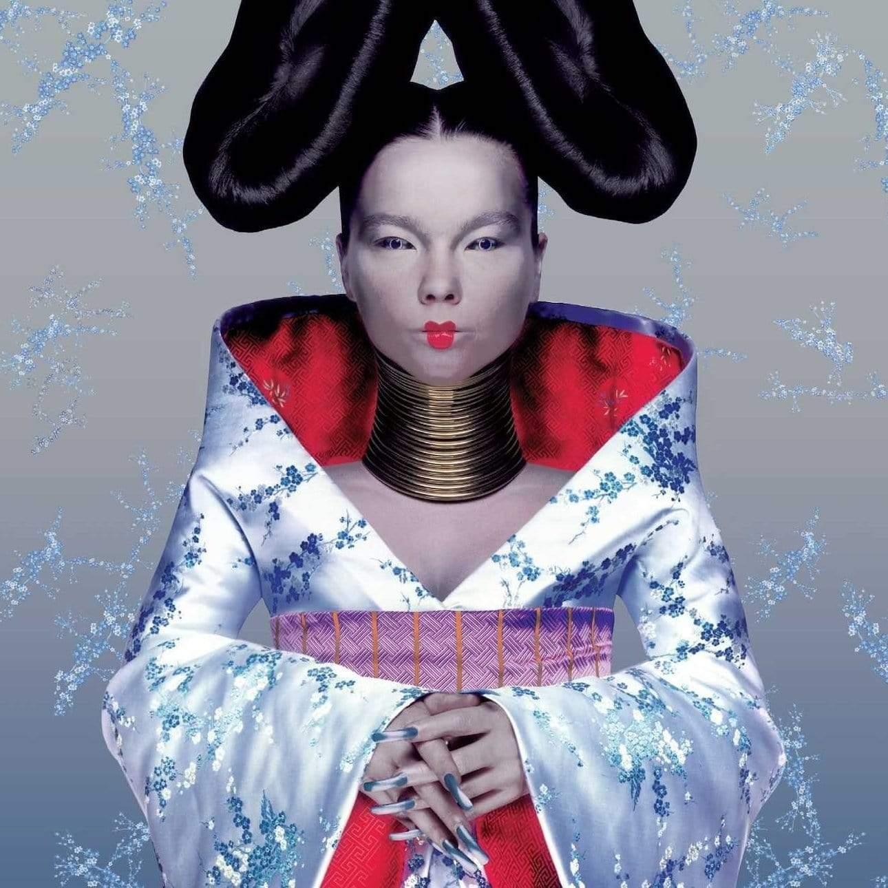 Bjork - Homogenic (LP) - Joco Records