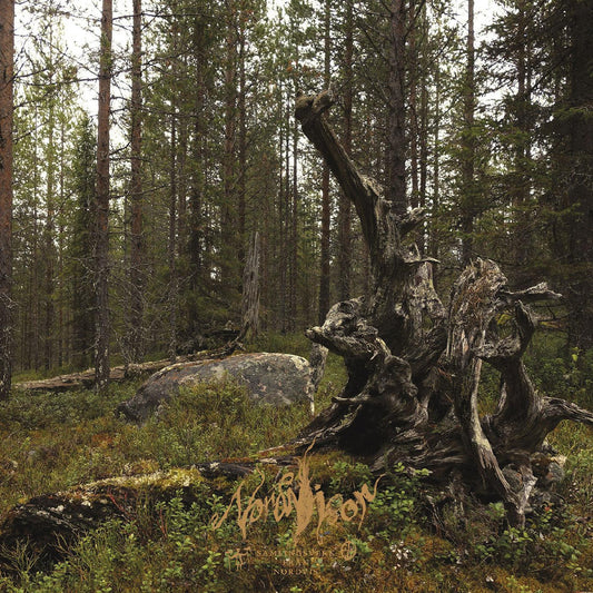 Nordvisor - Ett Samlingsverk Från Nordvis (Black & Gold / Black & Copper Vinyl) - Joco Records