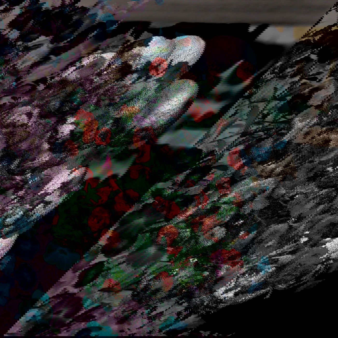 Blondes - Warmth (Red Vinyl) - Joco Records