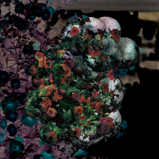 Blondes - Warmth (Red Vinyl) - Joco Records