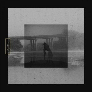 Braille - Mute Swan (Vinyl) - Joco Records