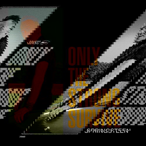 Bruce Springsteen - Only The Strong Survive (Gatefold, Etched, 140 Gram) (2 LP) - Joco Records