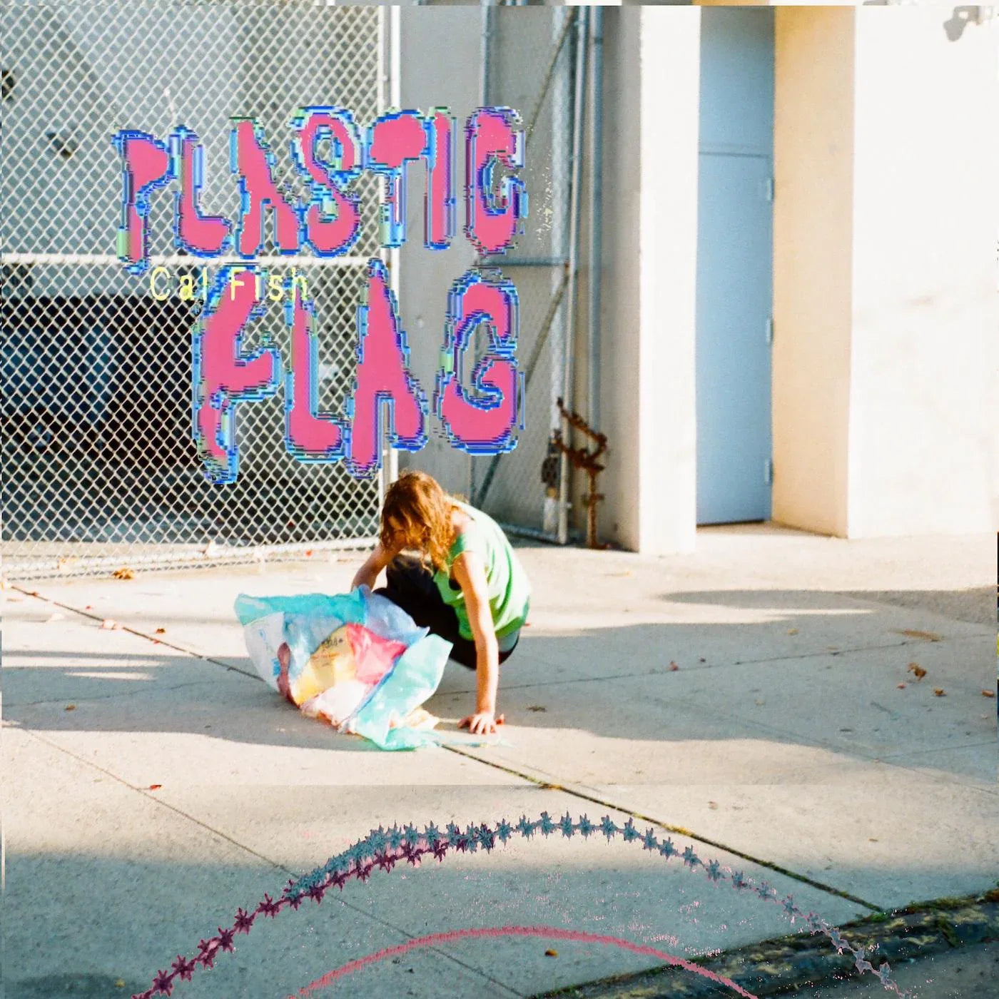 Cal Fish - Plastic Flag (Vinyl) - Joco Records