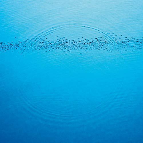 Caribou - Suddenly (Vinyl) - Joco Records