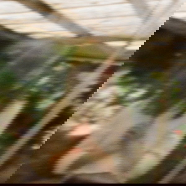 Carla Dal Forno - Come Around (Vinyl) - Joco Records