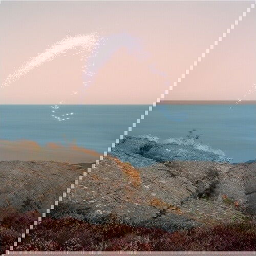 Cassandra Jenkins - An Overview On Phenomenal Nature (Vinyl) - Joco Records