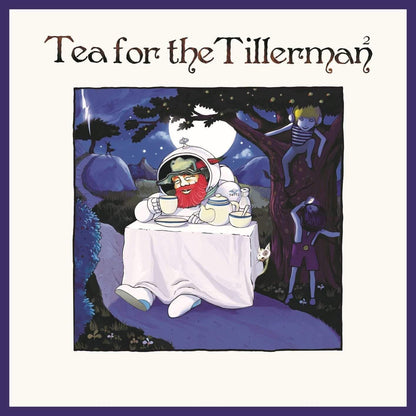 Cat Stevens - Tea For The Tillerman 2 (Remastered, 180 Gram) (LP) - Joco Records