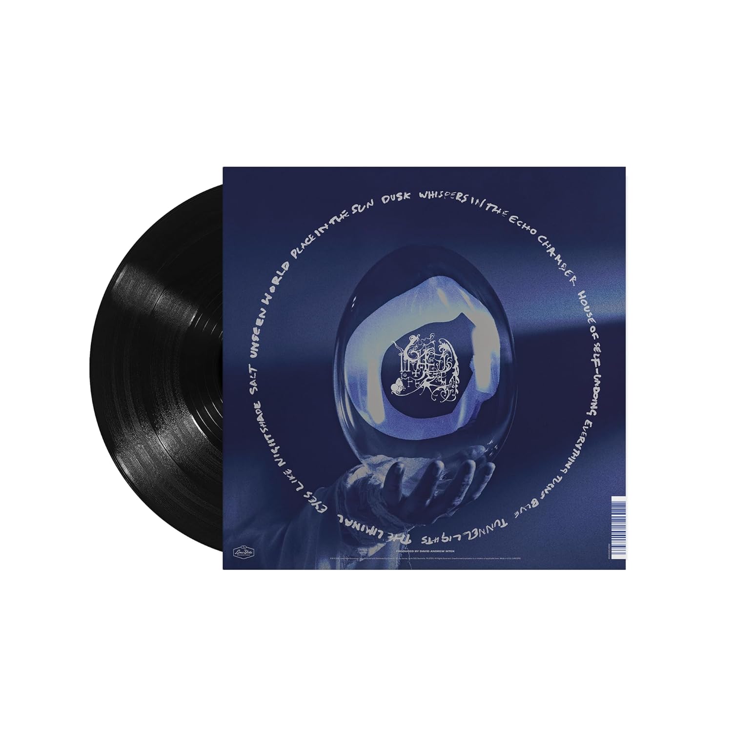 Chelsea Wolfe - She Reaches Out To She Reaches Out To She (LP) - Joco Records