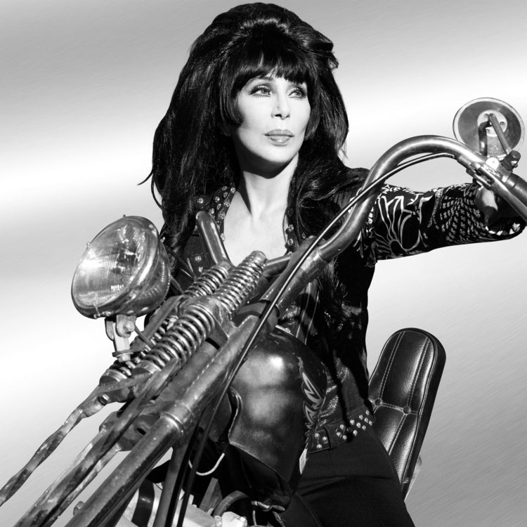 Cher - Forever (Vinyl) - Joco Records