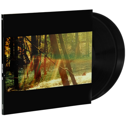 Childish Gambino - Camp (Limited Edition, Double Gatefold, 180 Gram) (2 LP) - Joco Records