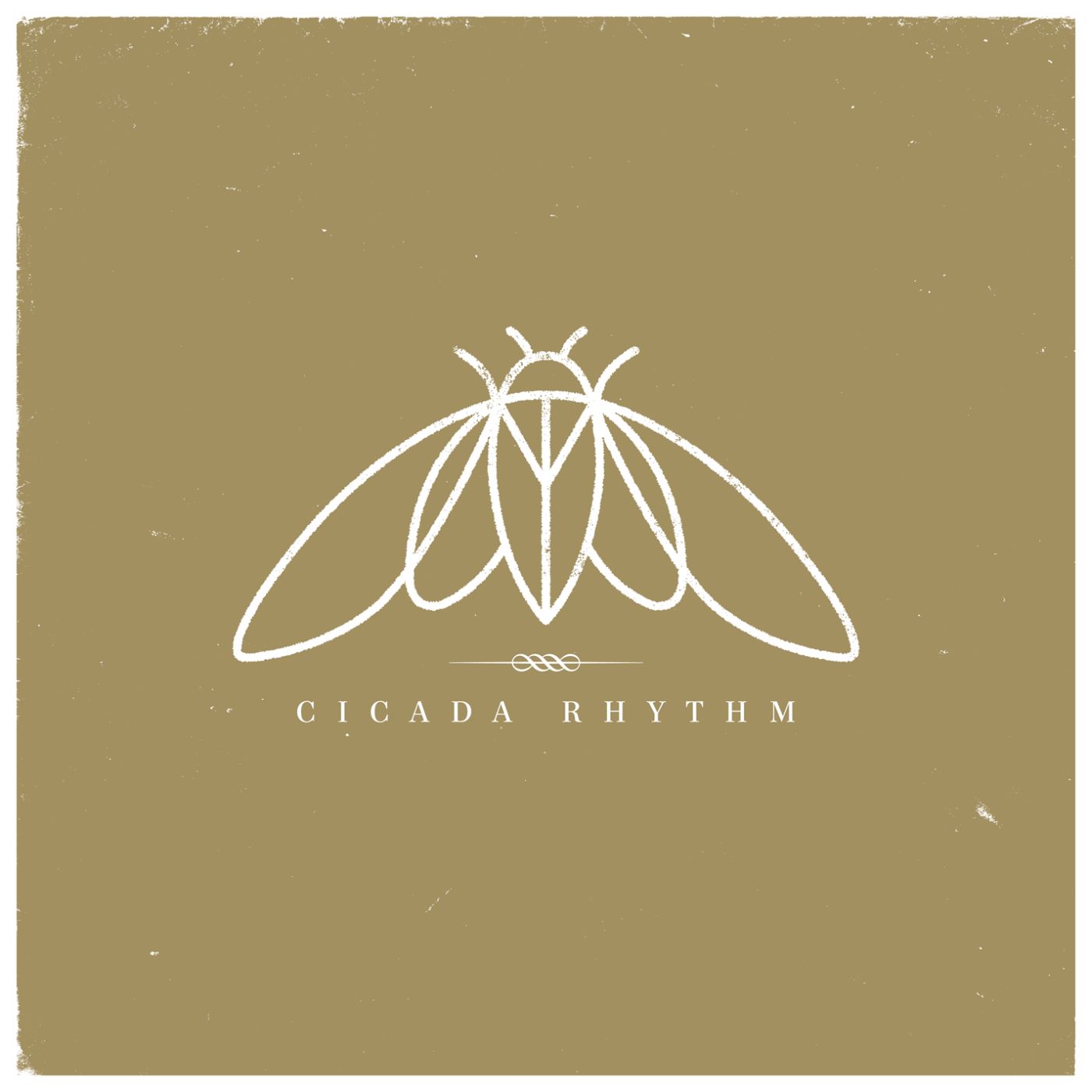 Cicada Rhythm - Cicada Rhythm (Vinyl) - Joco Records