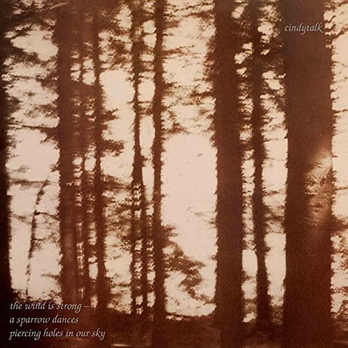 Cindytalk - Wind Is Strong  (Vinyl) - Joco Records