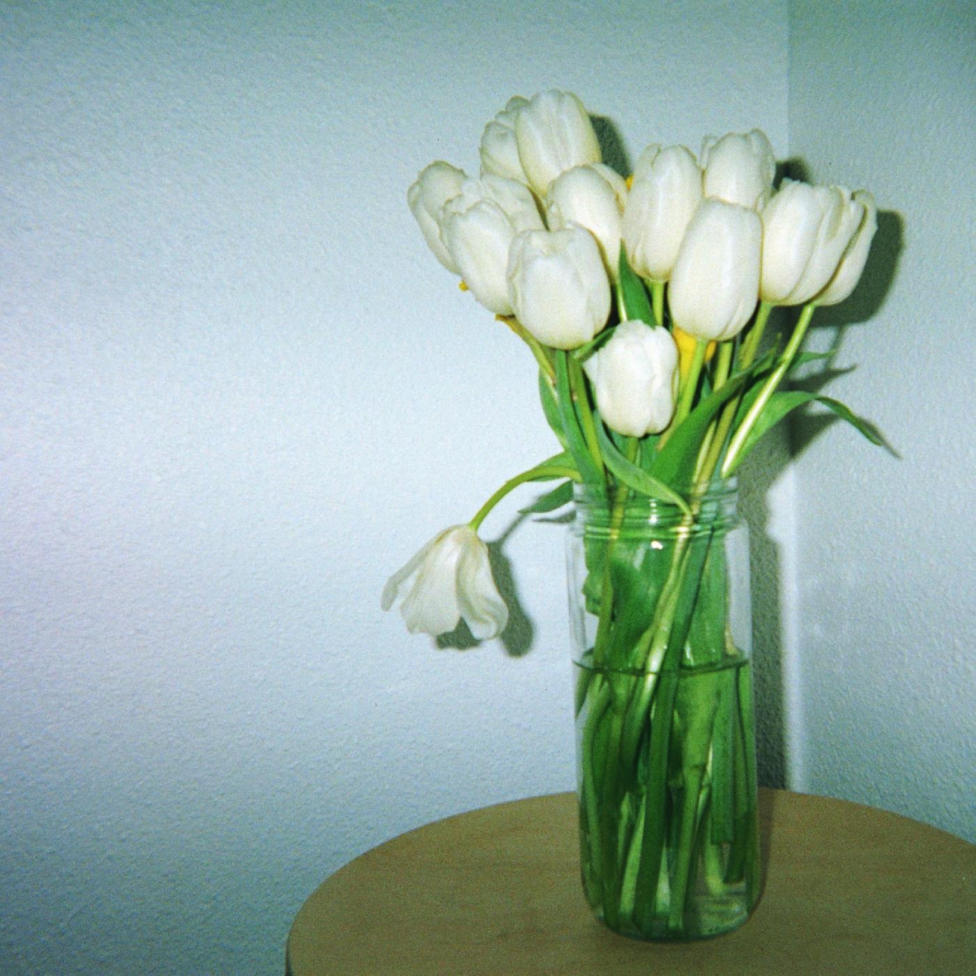 Claire Rousay - A Heavenly Touch (Vinyl) - Joco Records