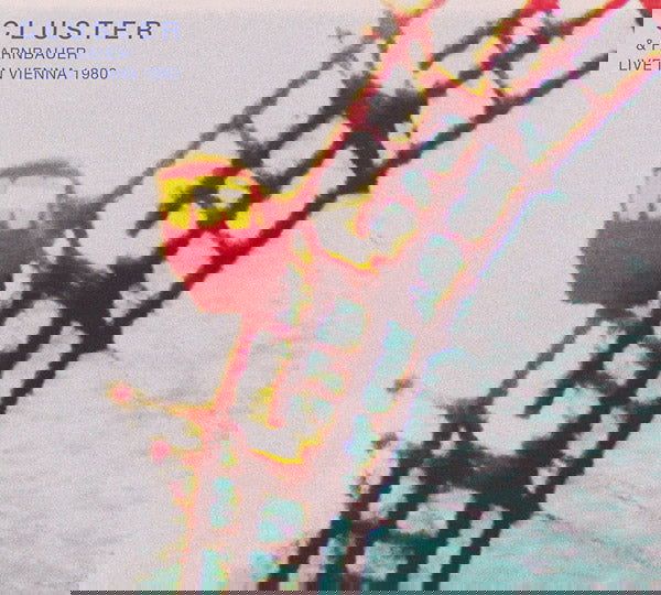 Cluster & Farnbauer - Live In Vienna 1980 (Vinyl) - Joco Records