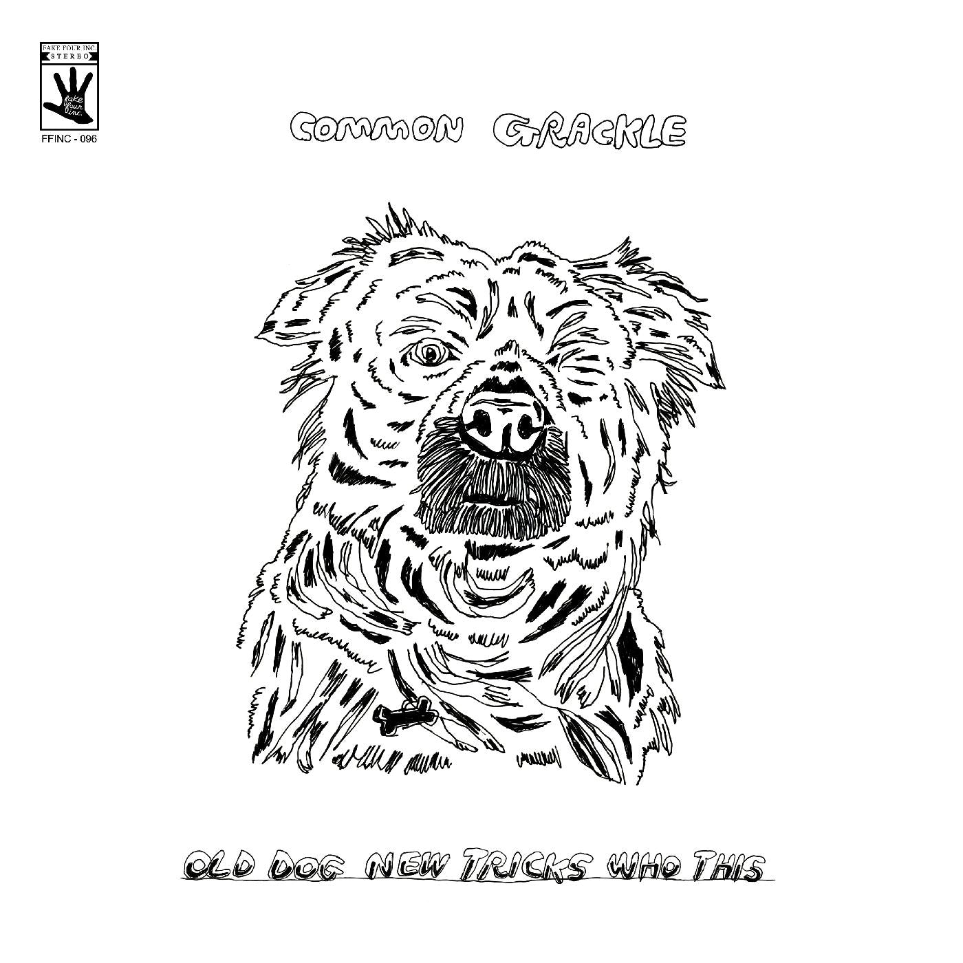 Common Grackle - Old Dog New Tricks Who This (Vinyl) - Joco Records