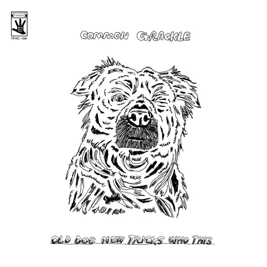 Common Grackle - Old Dog New Tricks Who This (Vinyl) - Joco Records
