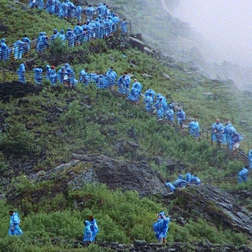 Courtney Barnett - End of the Day (Anonymous Club) (Limited Edition, Milky Clear Vinyl) (LP) - Joco Records