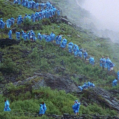 Courtney Barnett - End of the Day (Anonymous Club) (Limited Edition, Milky Clear Vinyl) (LP) - Joco Records