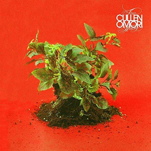 Cullen Omori - New Misery (Vinyl) - Joco Records