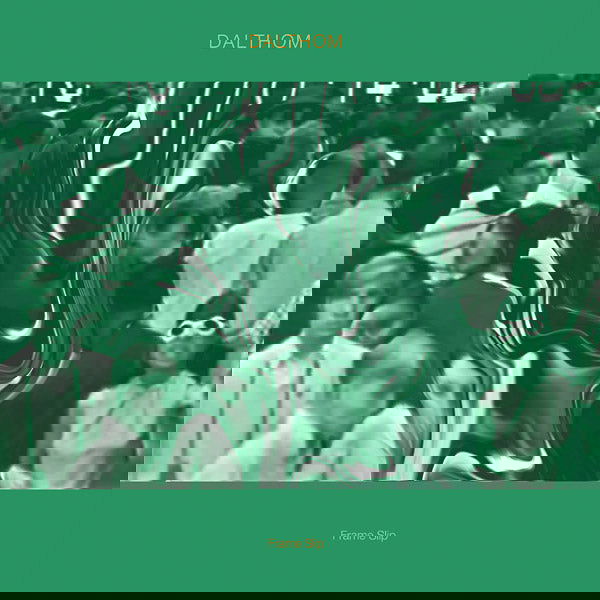 Dalthom - Frame Slip (Vinyl) - Joco Records