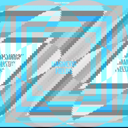 Dan Ubick - Magnetic Fields (LP) - Joco Records