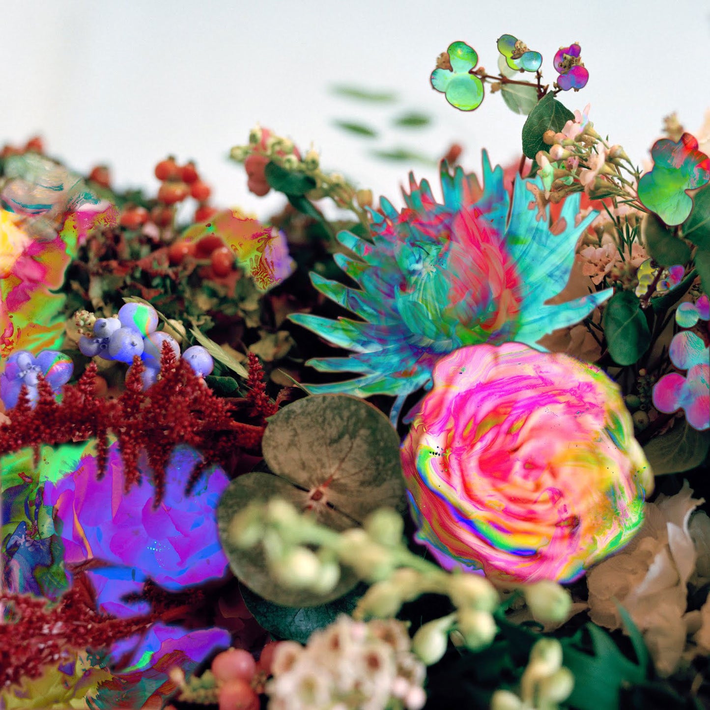 Darkstar - News From Nowhere (2 LP) - Joco Records