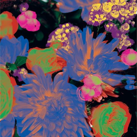 Darkstar - Timeaway (Vinyl) - Joco Records