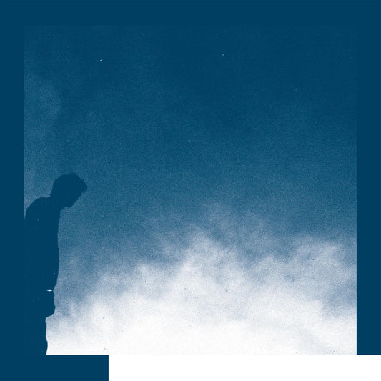 David Allred - The Transition (Vinyl) - Joco Records