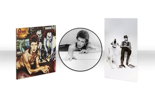 David Bowie - Diamond Dogs (50th Anniversary Picture Disc) (Vinyl) - Joco Records