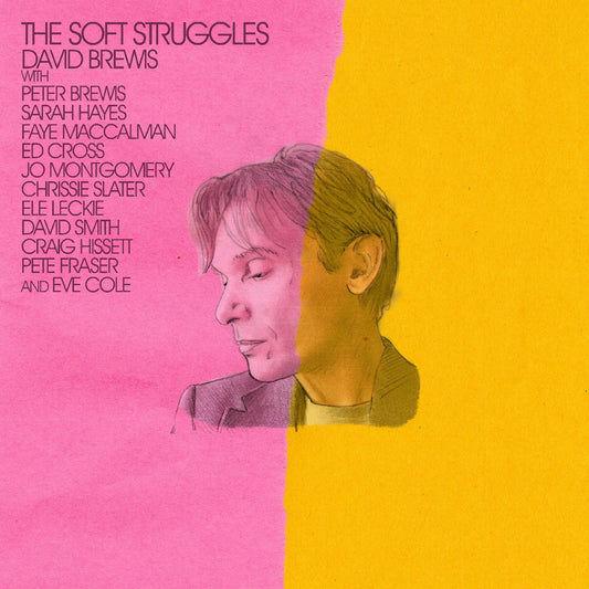 David Brewis - The Soft Struggles (Vinyl) - Joco Records