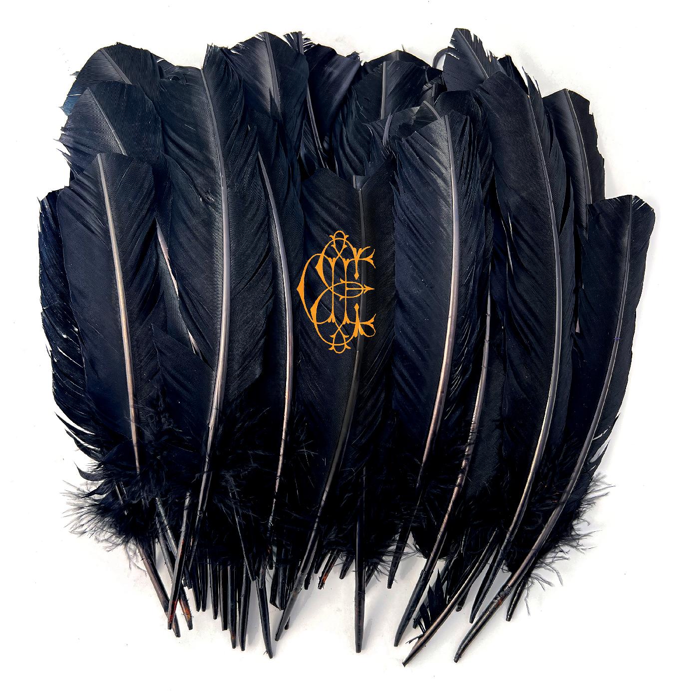 David Eugene Edwards - Hyacinth (Vinyl) - Joco Records