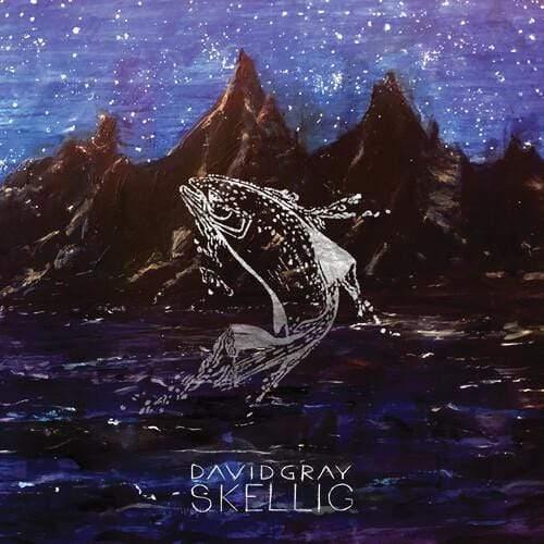 David Gray - Skellig (Gatefold LP Jacket) (2 LP) - Joco Records