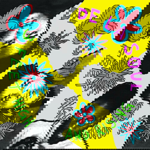 De La Soul - 3 Feet High And Rising - Yellow (Explicit Content) (Color Vinyl, Yellow, 180 Gram Vinyl) (2 LP) - Joco Records