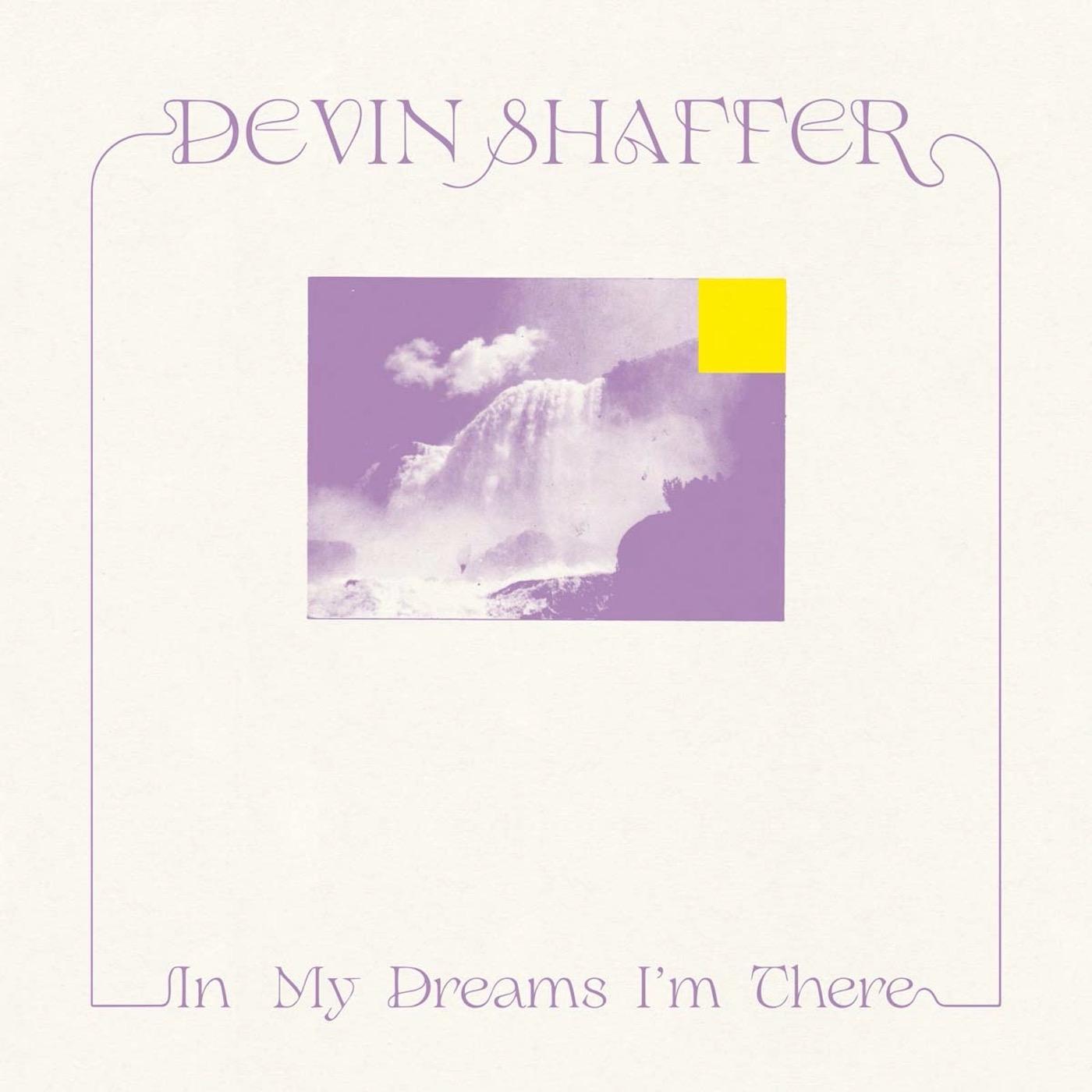 Devin Shaffer - In My Dreams I'm There (Vinyl) - Joco Records