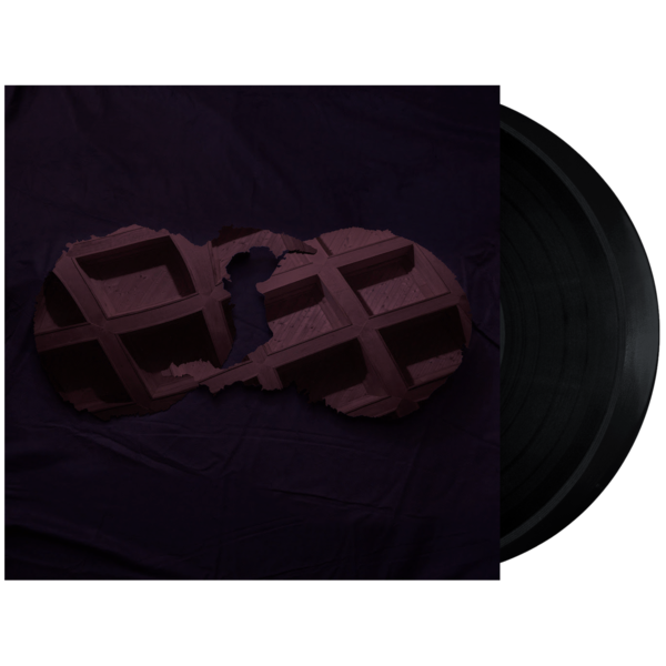 Dirty Projectors - Dirty Projectors (2 LP) - Joco Records