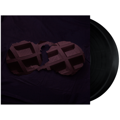 Dirty Projectors - Dirty Projectors (2 LP) - Joco Records