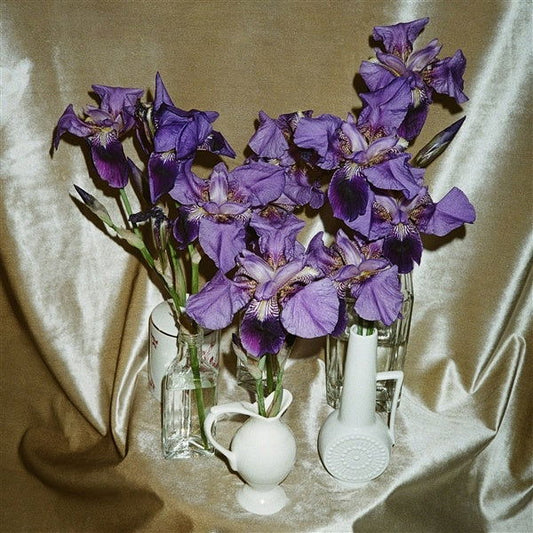 Dives - Wanna Take You There (White Vinyl) - Joco Records