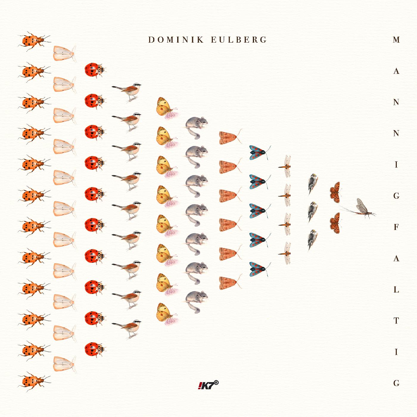 Dominik Eulberg - Mannigfaltig (Vinyl) - Joco Records