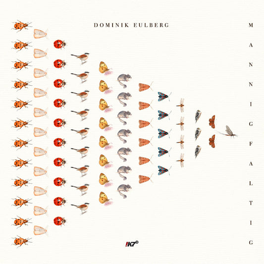 Dominik Eulberg - Mannigfaltig (Vinyl) - Joco Records